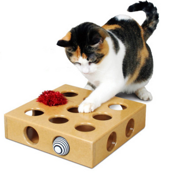 Cat Peek-a-Prize Toy