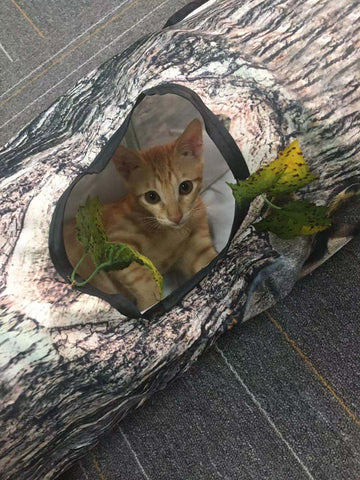 Tree Pattern Cat Tunnel